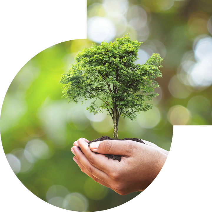 关怀人类、文化、环境与社会